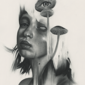 Limited Edition Charcoal Print - Mushroom Girl